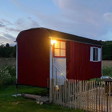 Apartament Alte Muehle Boerfink Borfink Zewnętrze zdjęcie